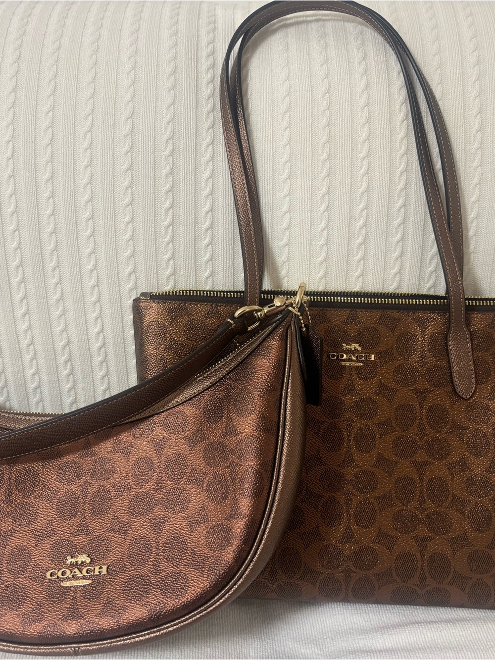 Coach Metallic Brown Signature Tote and Crescent Hobo Set